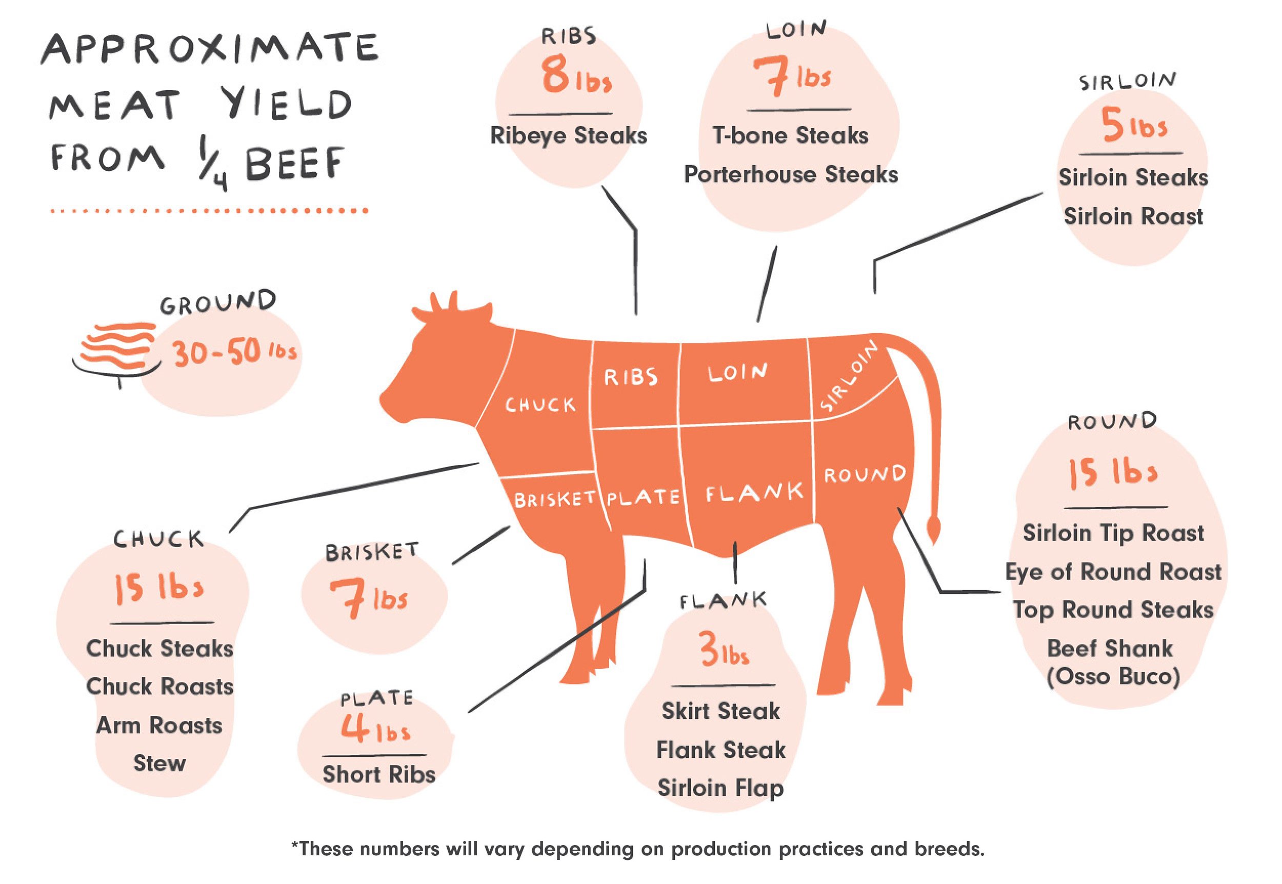 How Many Briskets per Cow: Exploring Yield and Portions in Beef Cuts