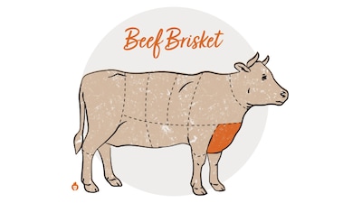 What Part of the Cow Is Brisket: Unveiling Brisket’s Location