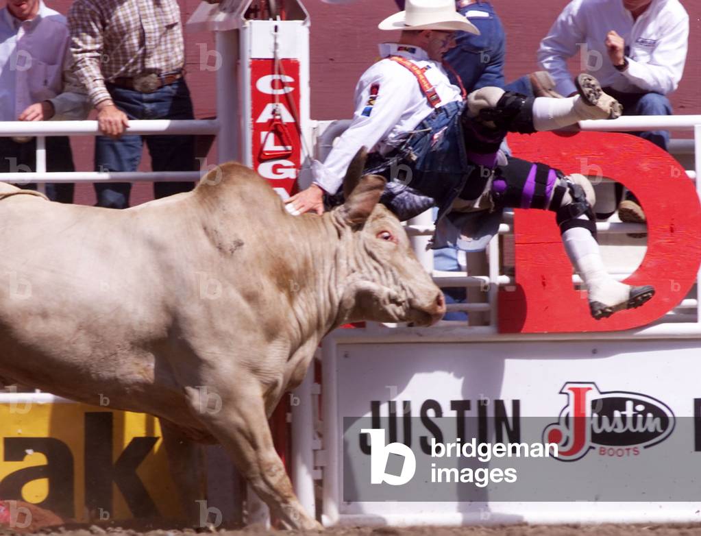 TJ Baird Death & Obituary: Remembering an Alberta Rodeo Legend and Bullfighter